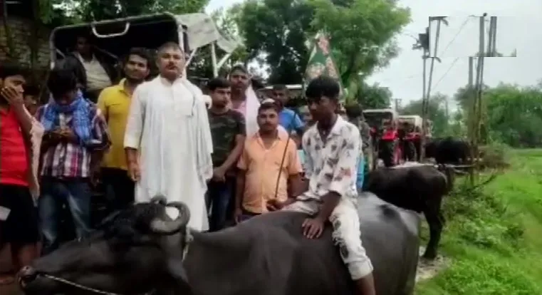 rjd protest 