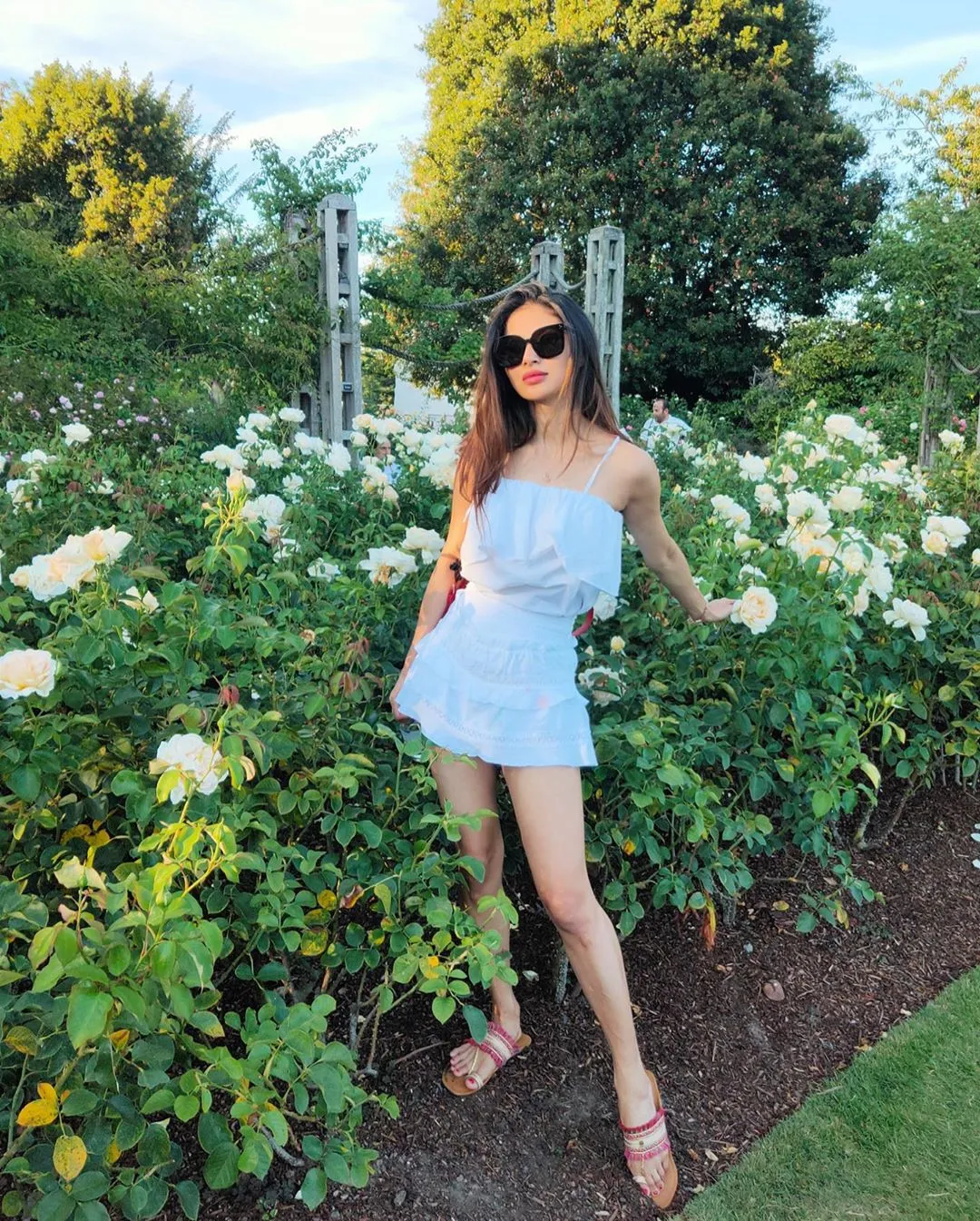 mouni11 
