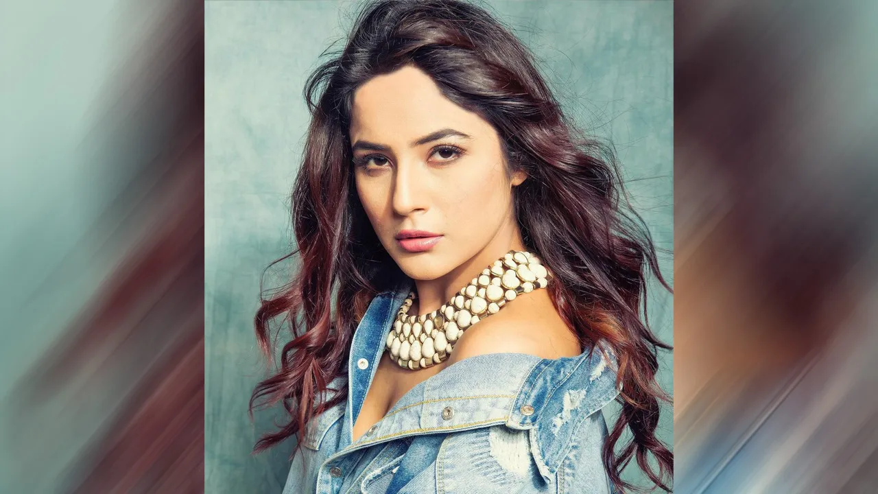 shehnaaz 