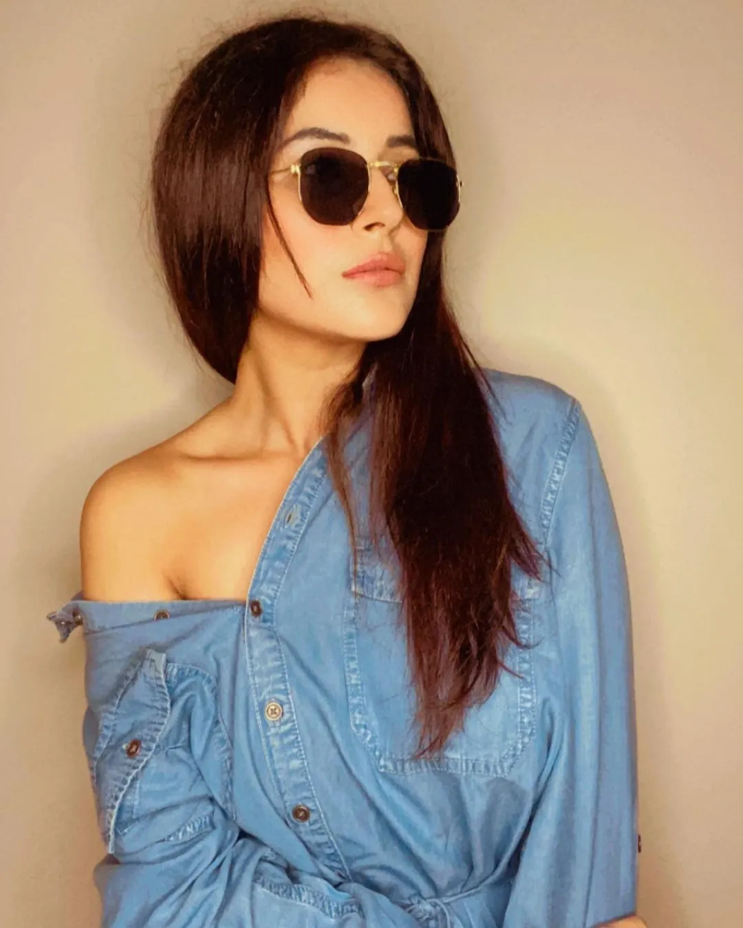 shehnaaz gill4 