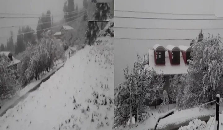 shimla 