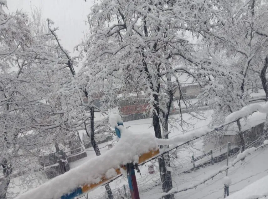 बर्फबारी