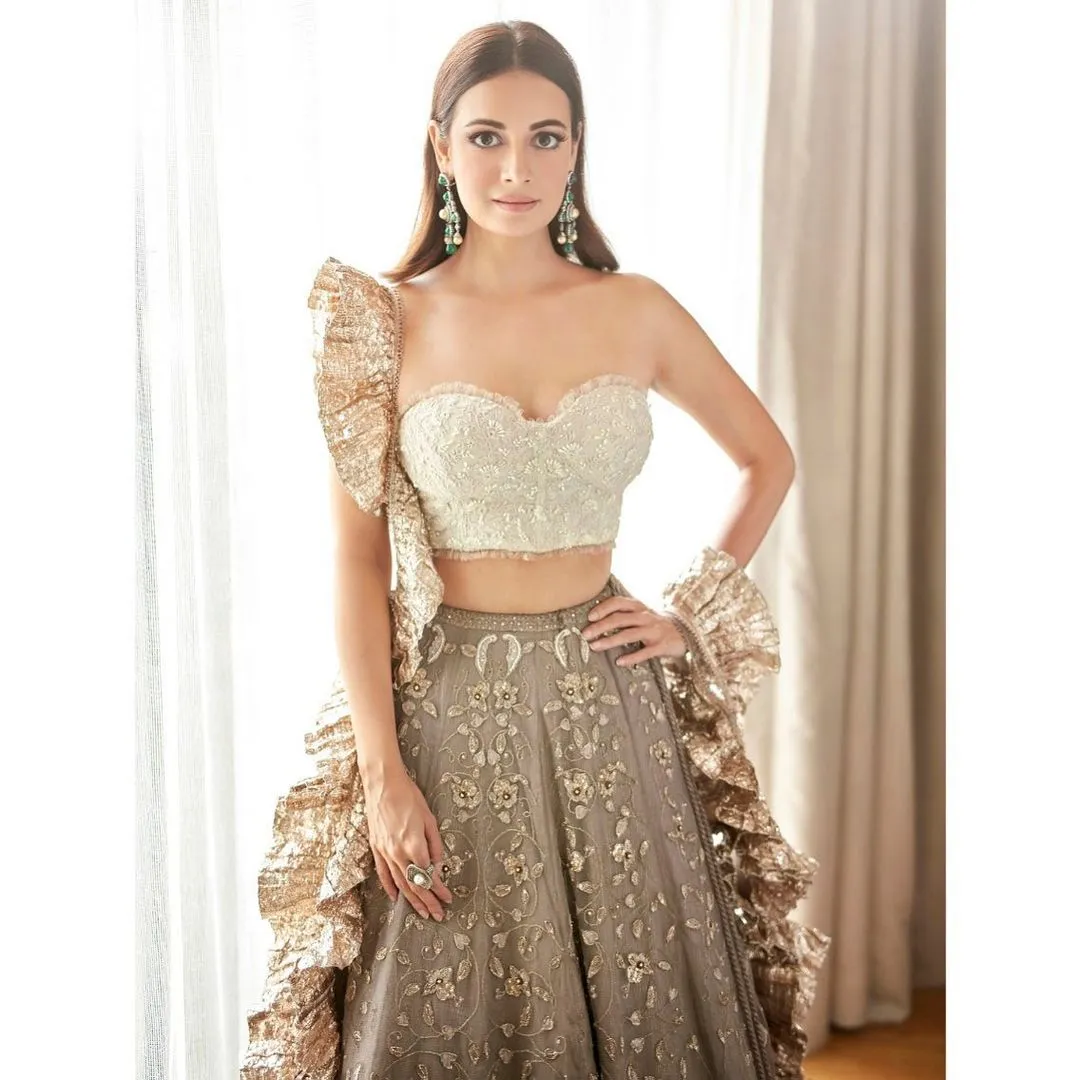 dia mirza15 