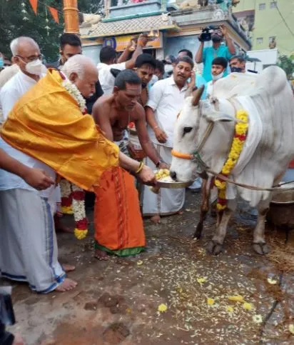 Pongal