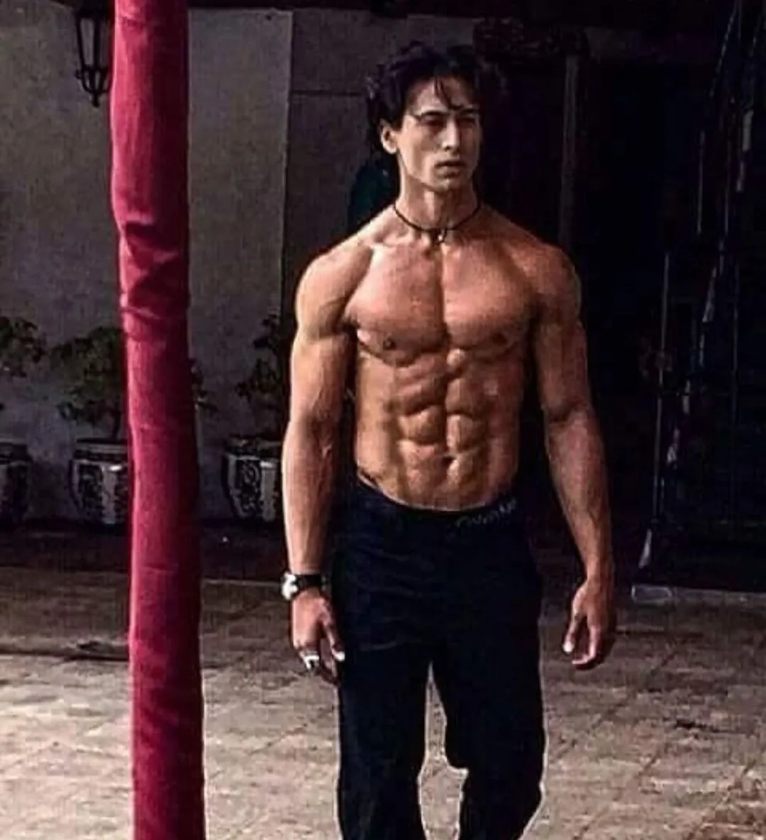 tiger5 