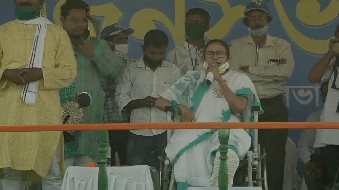 mamata ani 