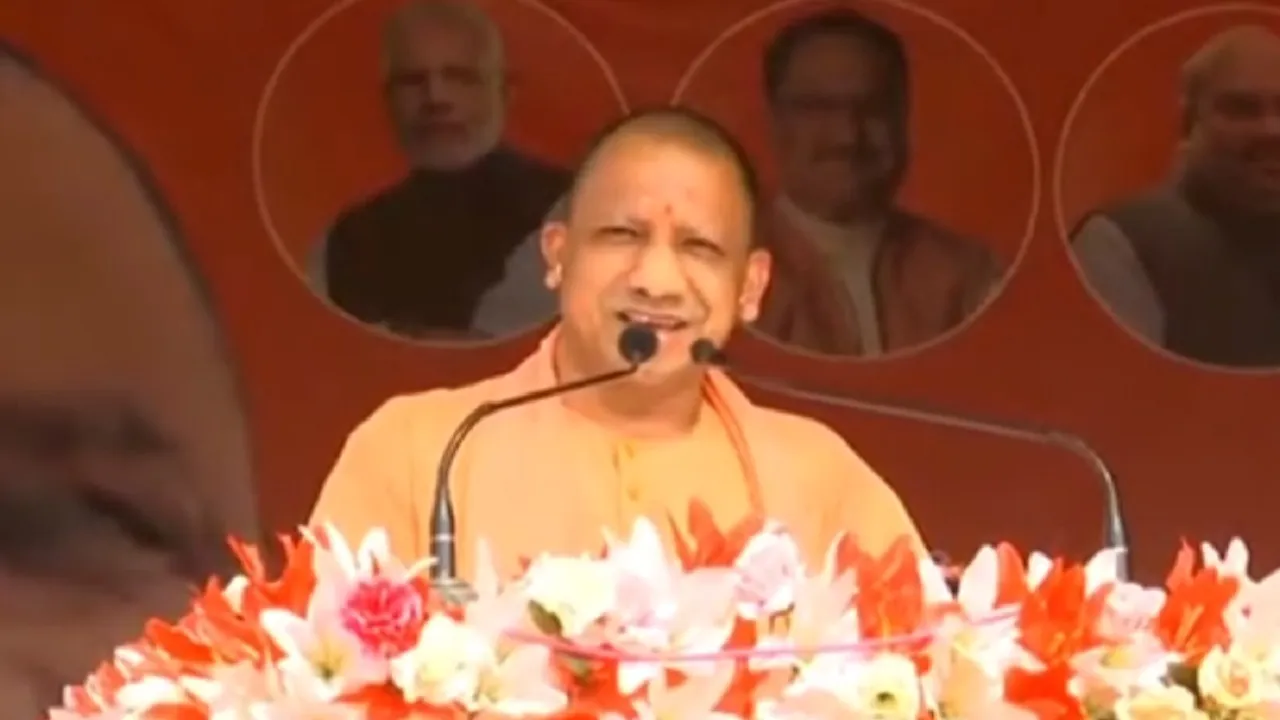 yogi1 