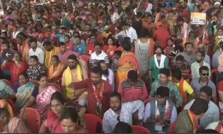 crowed 
