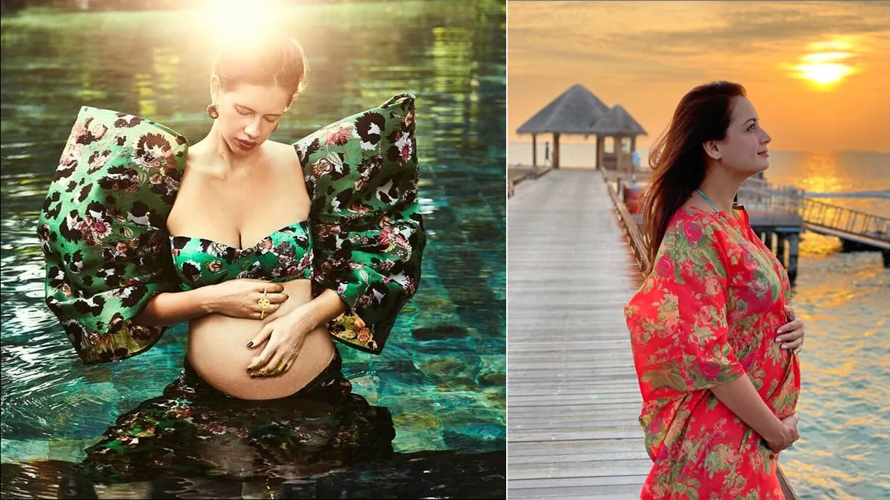 dia mirza