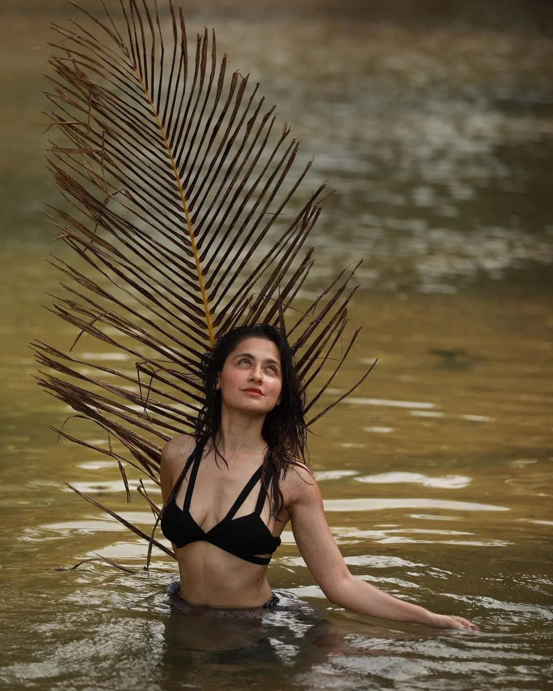 Sanjeeda Shaikh 