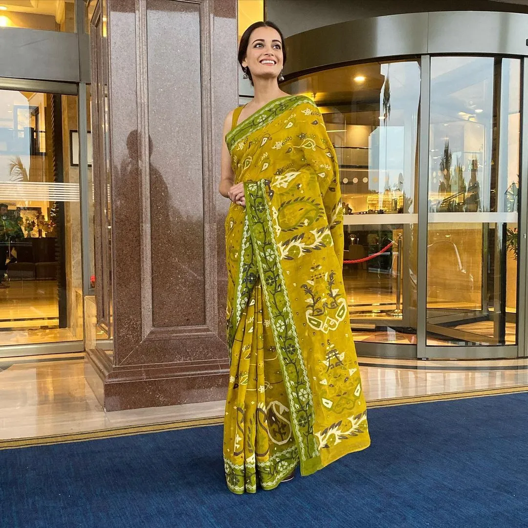 dia saree8 