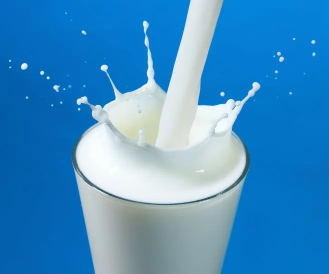 milk 