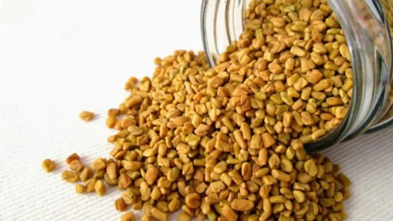 methi dana