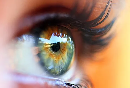 eye 4 