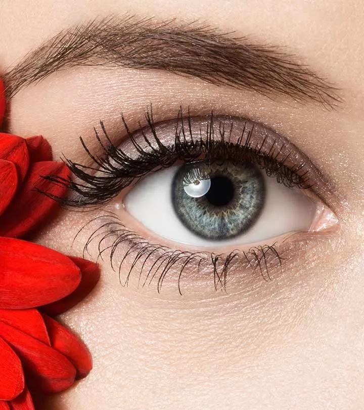 eye 1 