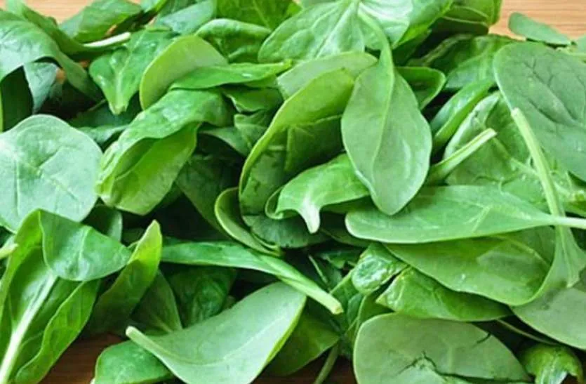 Spinach 