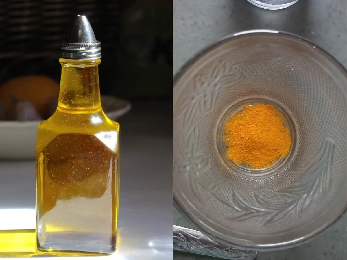Olive Oil 