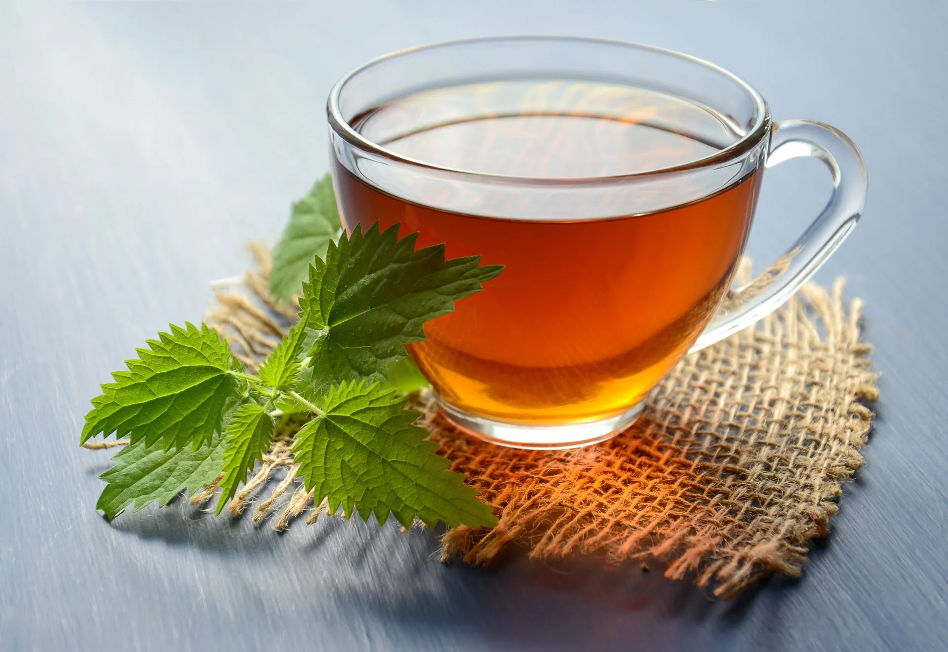 peppermint tea on teacup 1417945 