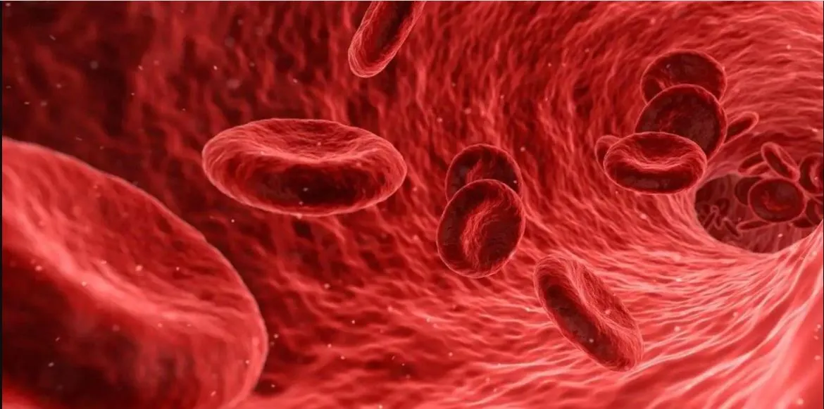 HEMOGLOBIN 2 