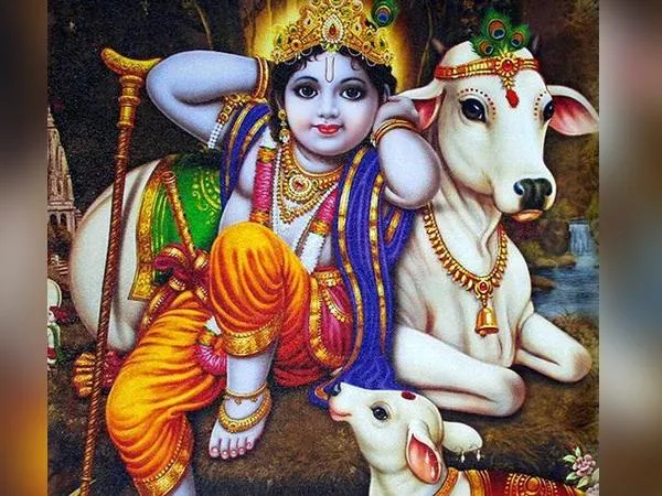 lord krishna 2 