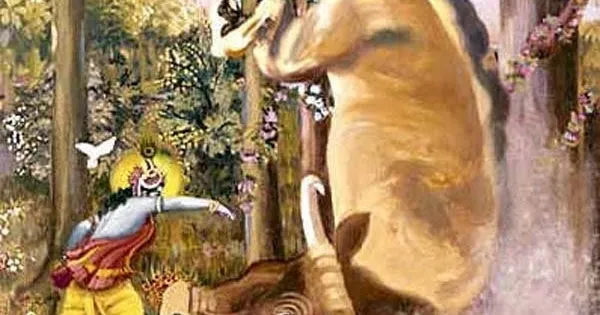 vatsasur 