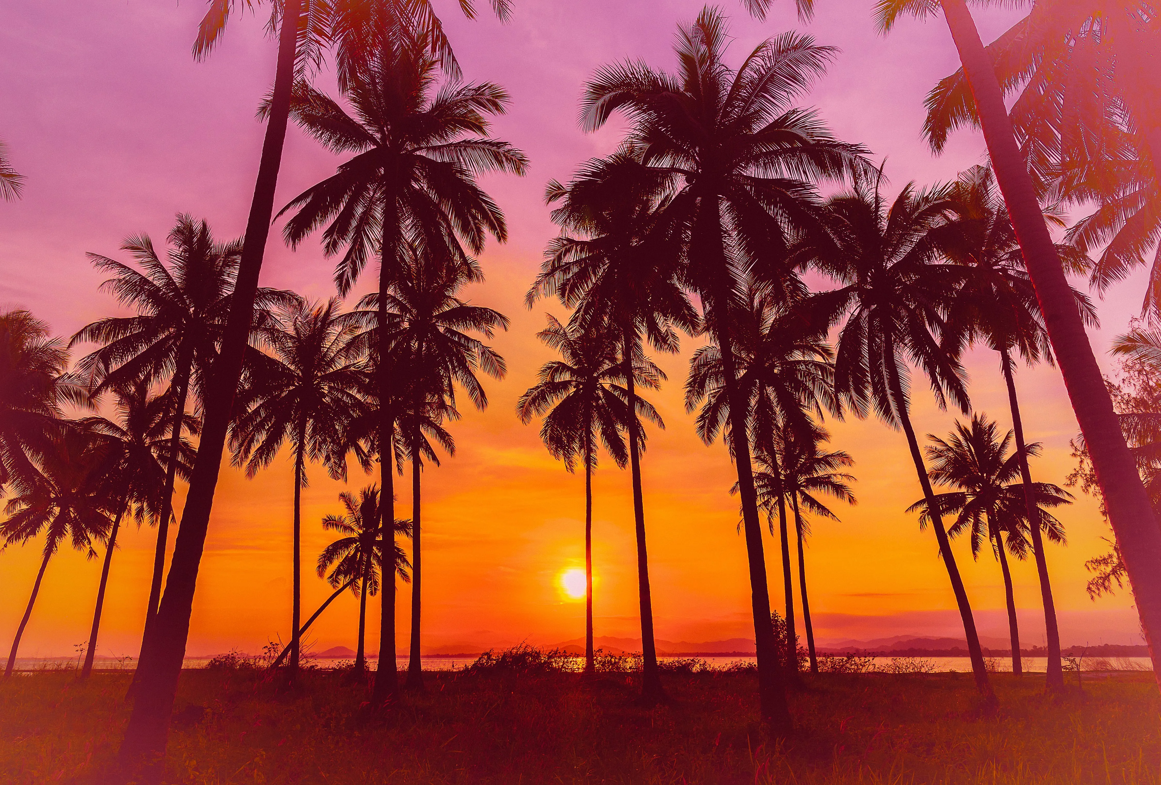  places where sun never sets