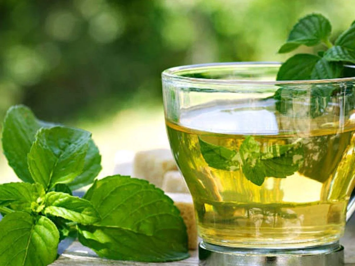 pudina tea 