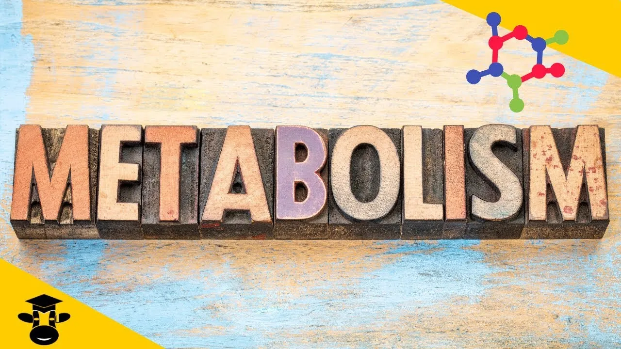 avoid these bad habits to improve metabolism