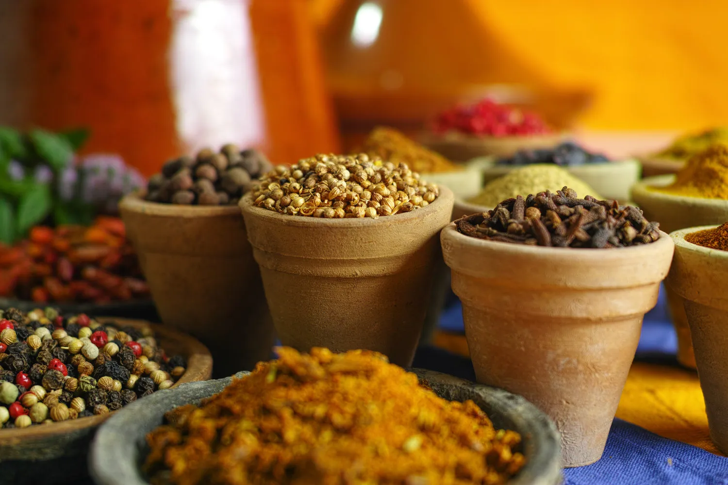ayurvedic herbs for memory loss