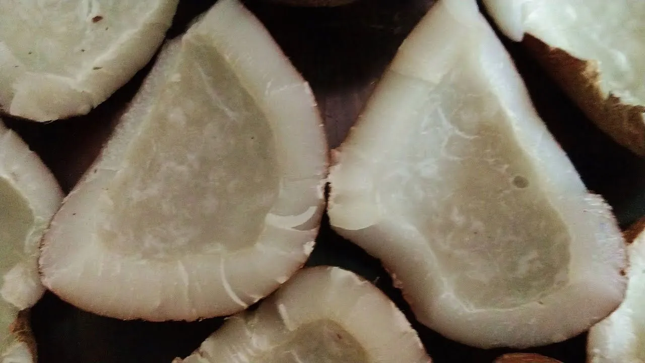 health benefits of dry coconut 