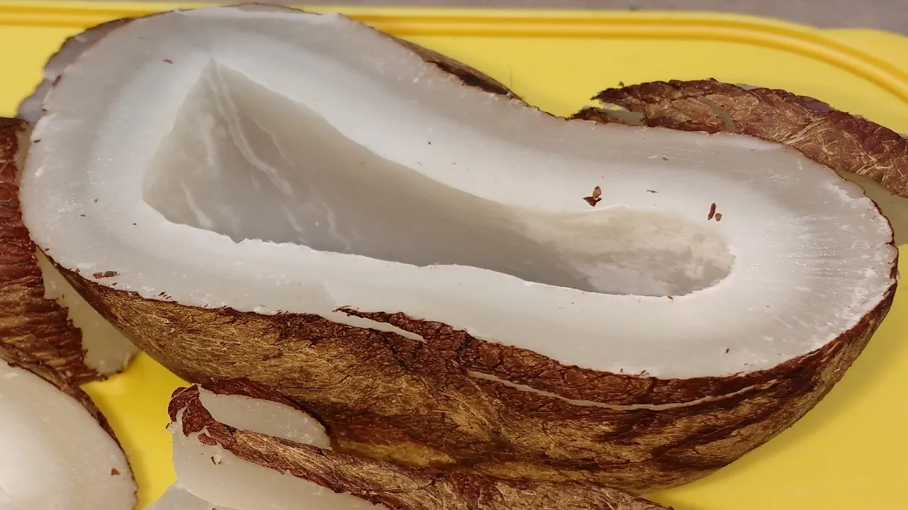 dry coconut benefits 