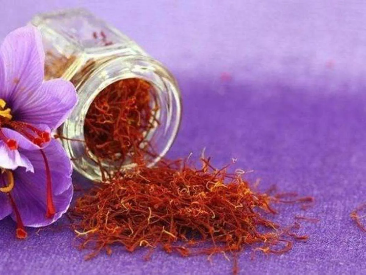 kesar 
