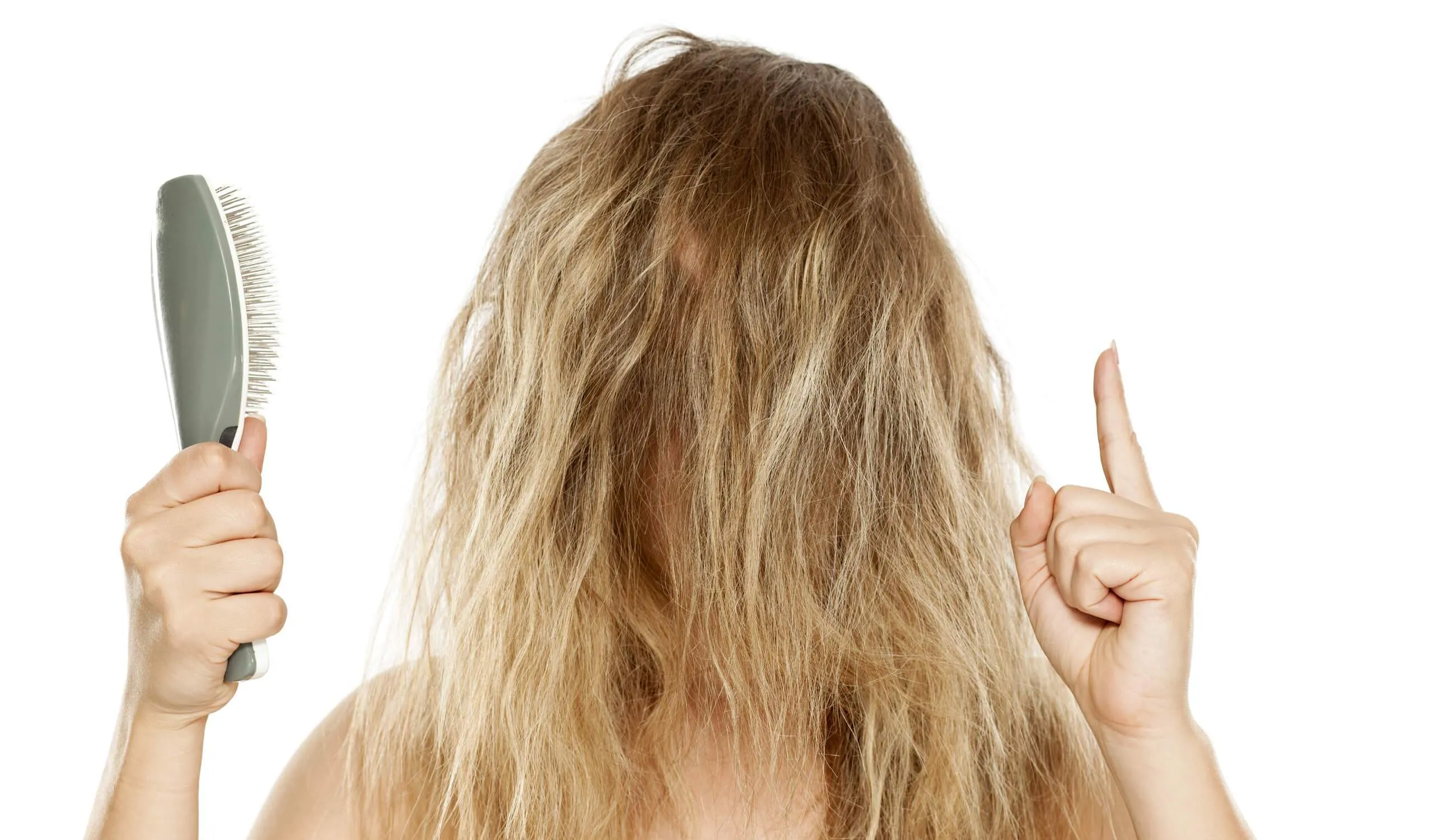 dry hairs