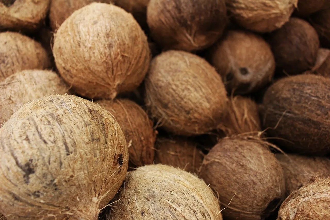 dry coconut 5334169 1280 