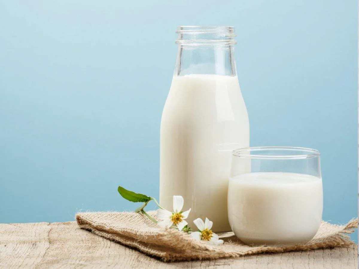 Milk Adulteration 