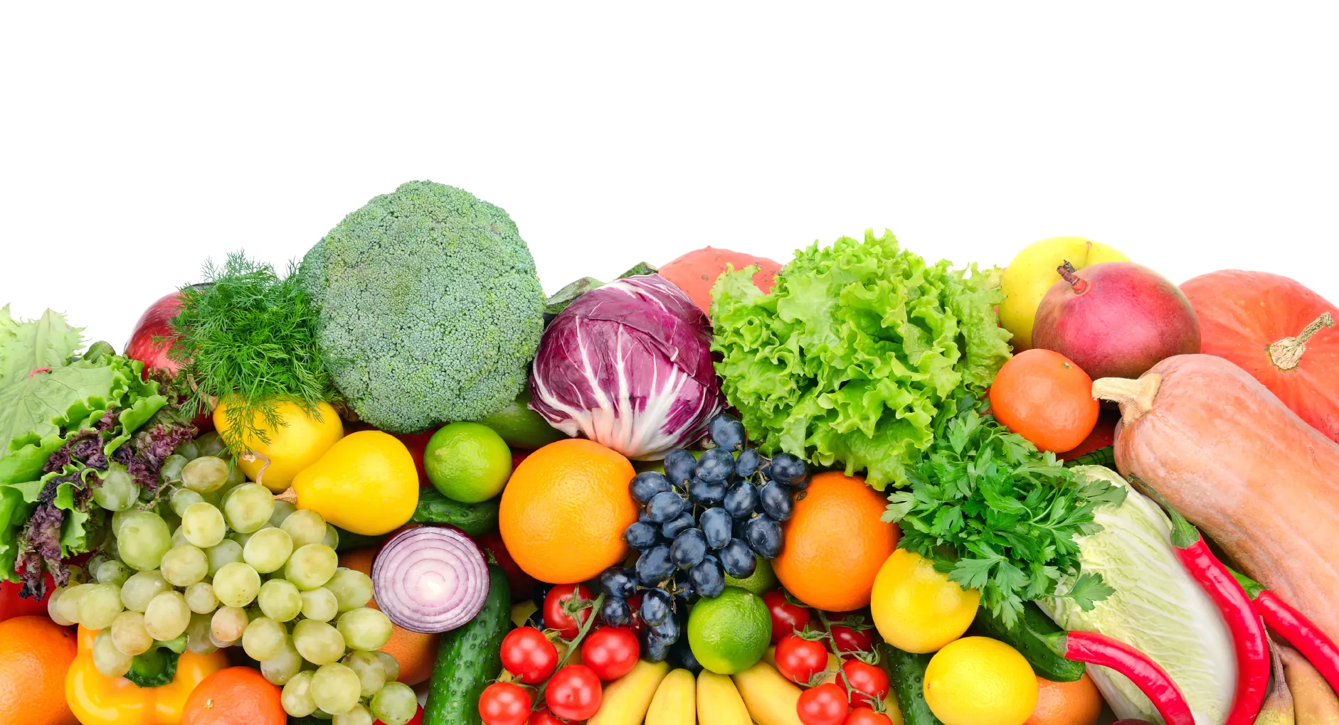 istock000039803170medium 