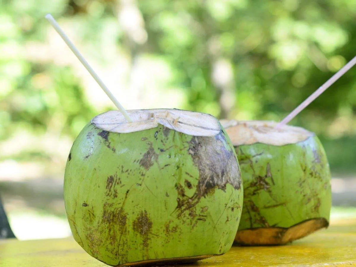 coconut water 3 