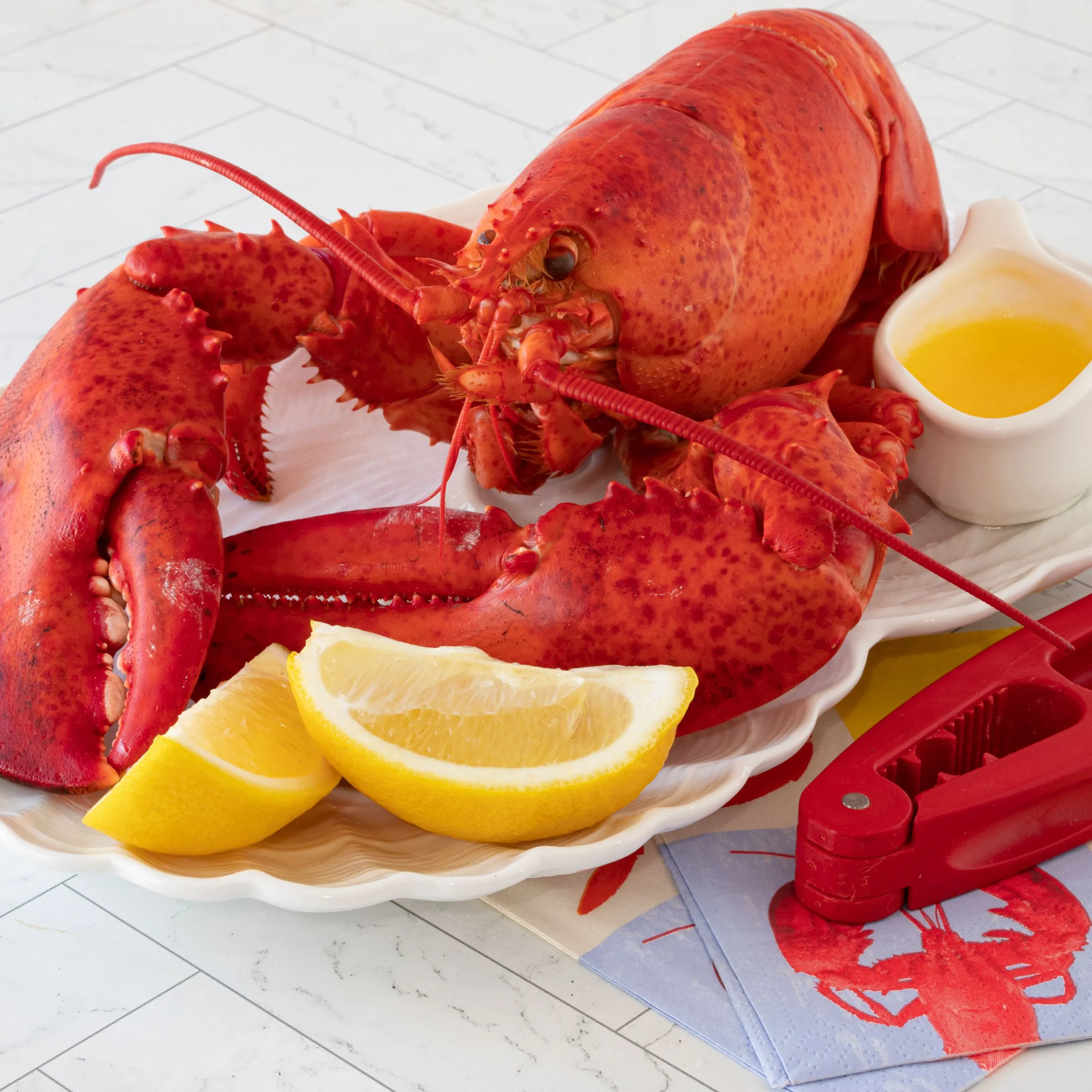 Lobster 