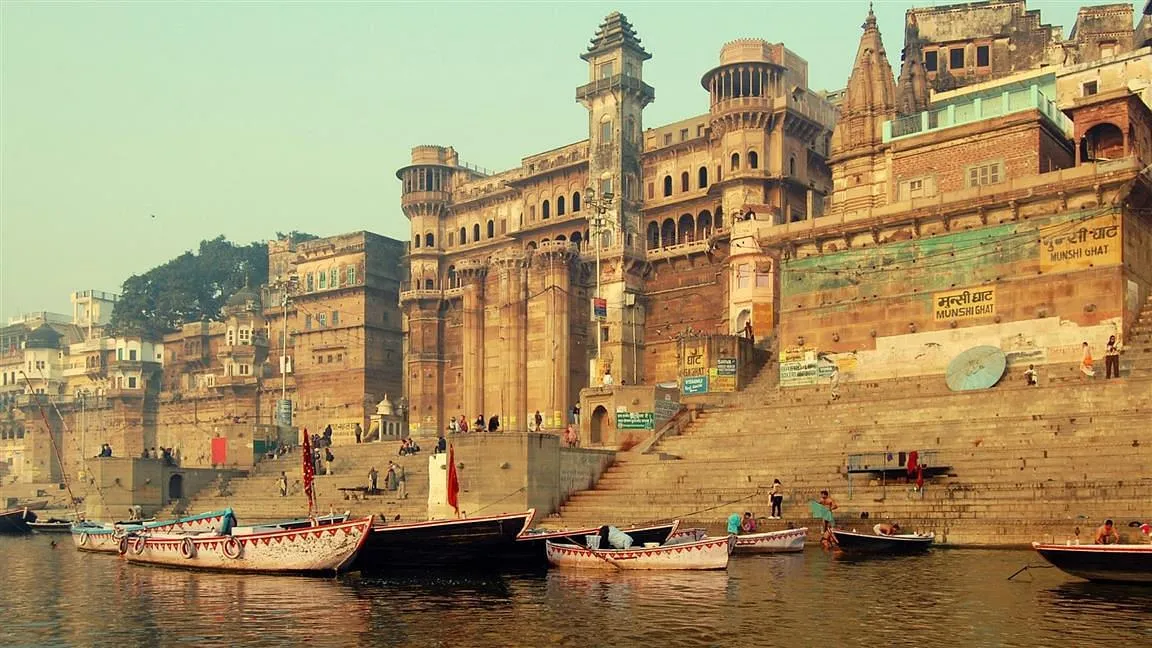  kashi 