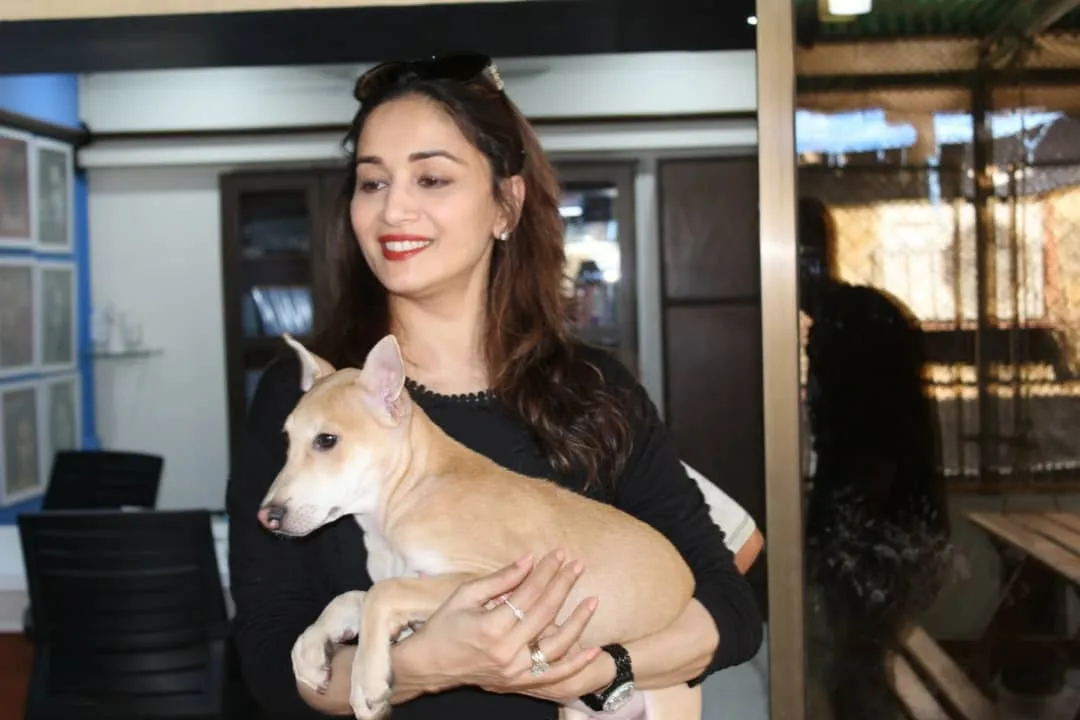 Madhuri Dixit Nene
