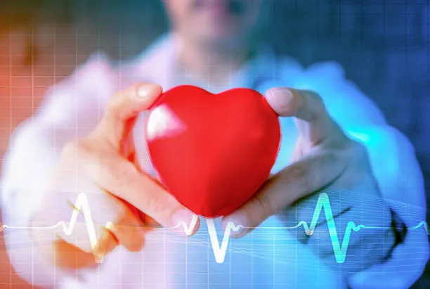 heart 