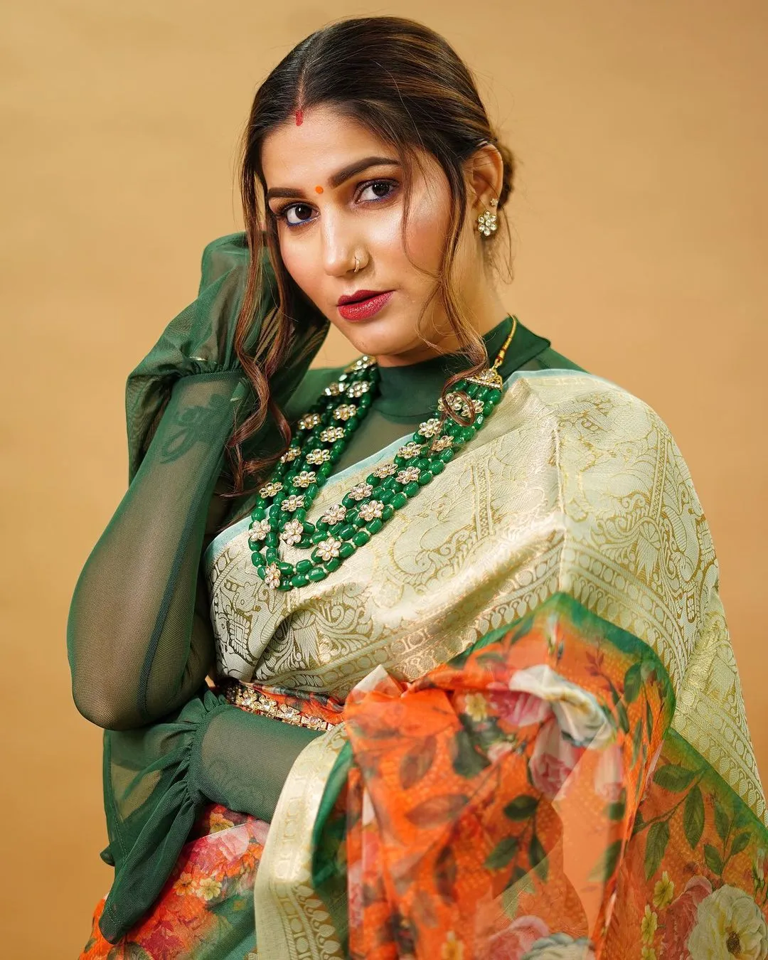 sapna choudhary3 