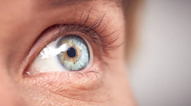 eyes 
