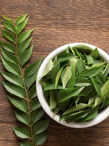 neem leaves