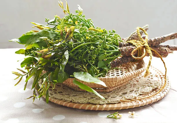 neem leaves