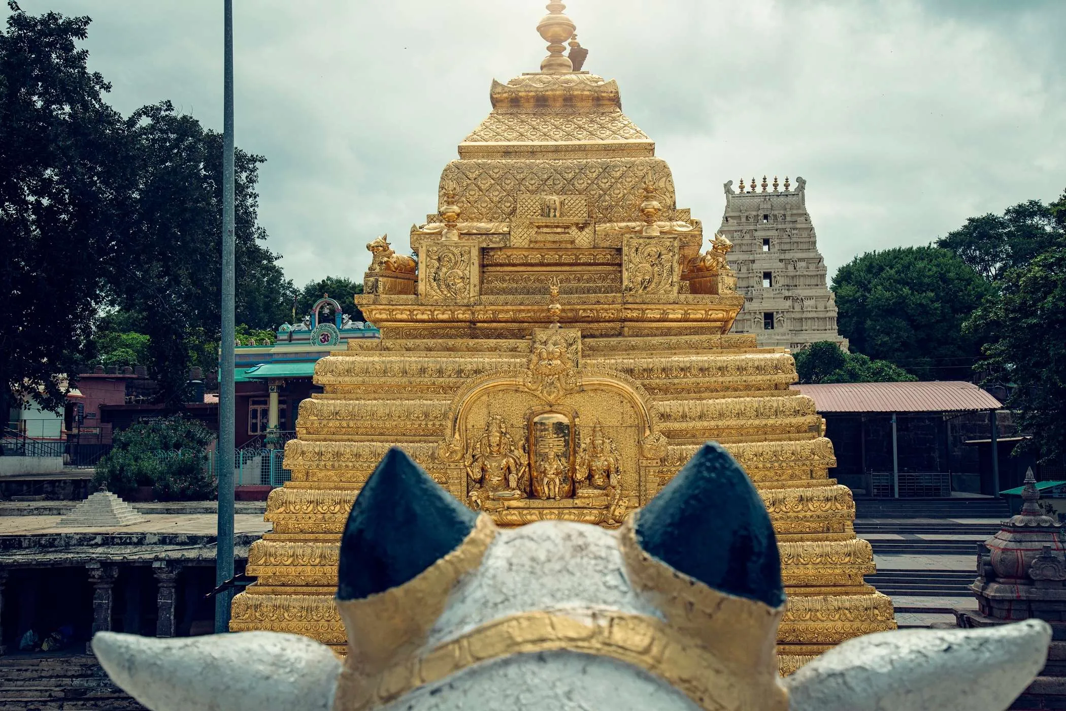 mallikarjun 