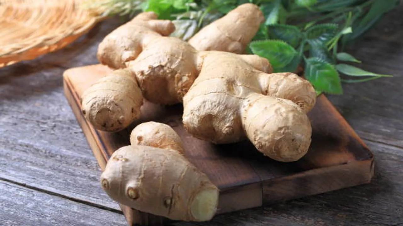 ginger 