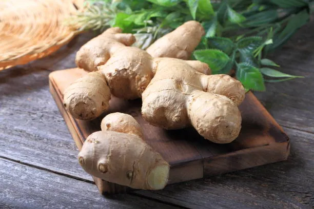 ginger 