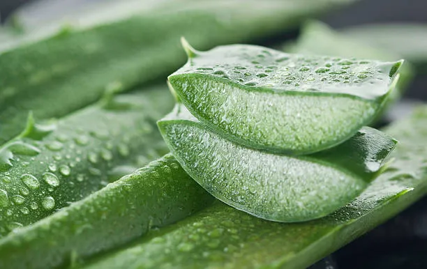 aloe vera gel