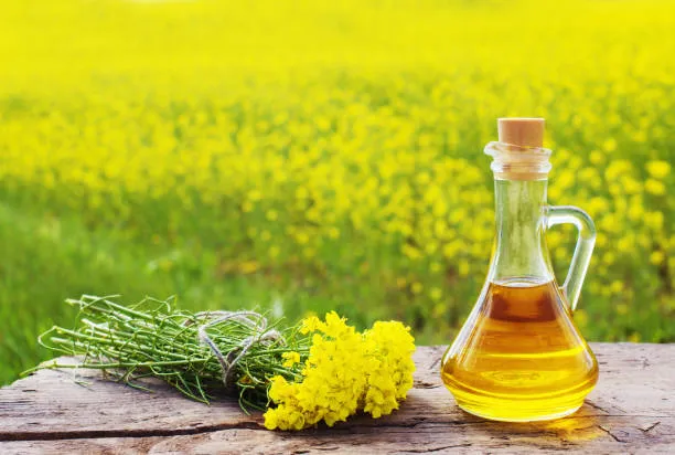 mustard oil